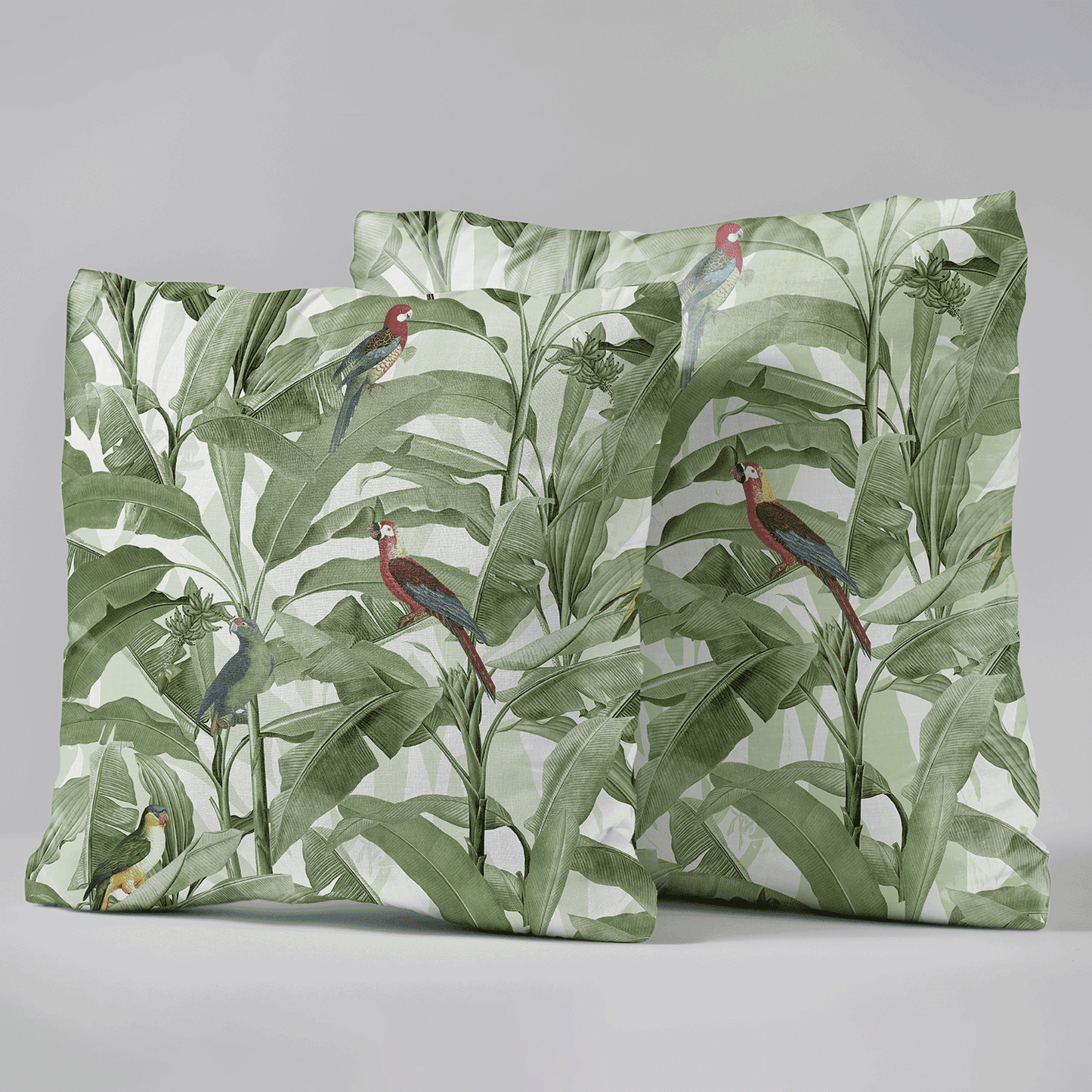 Aviary Elegance X Tropicana Combo - Set of 5