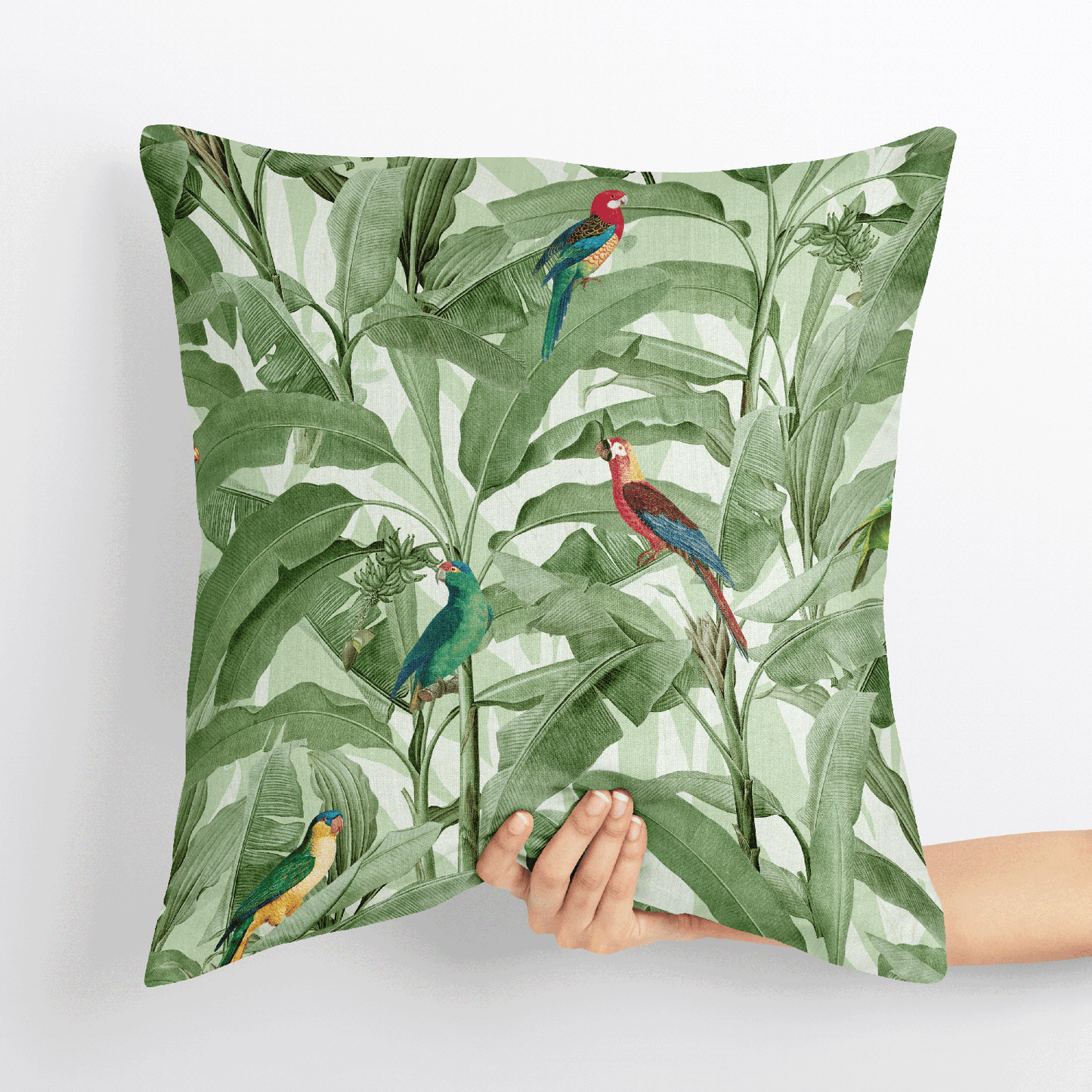 Aviary Elegance X Rainforest Rhapsody - Combo - Set of 5