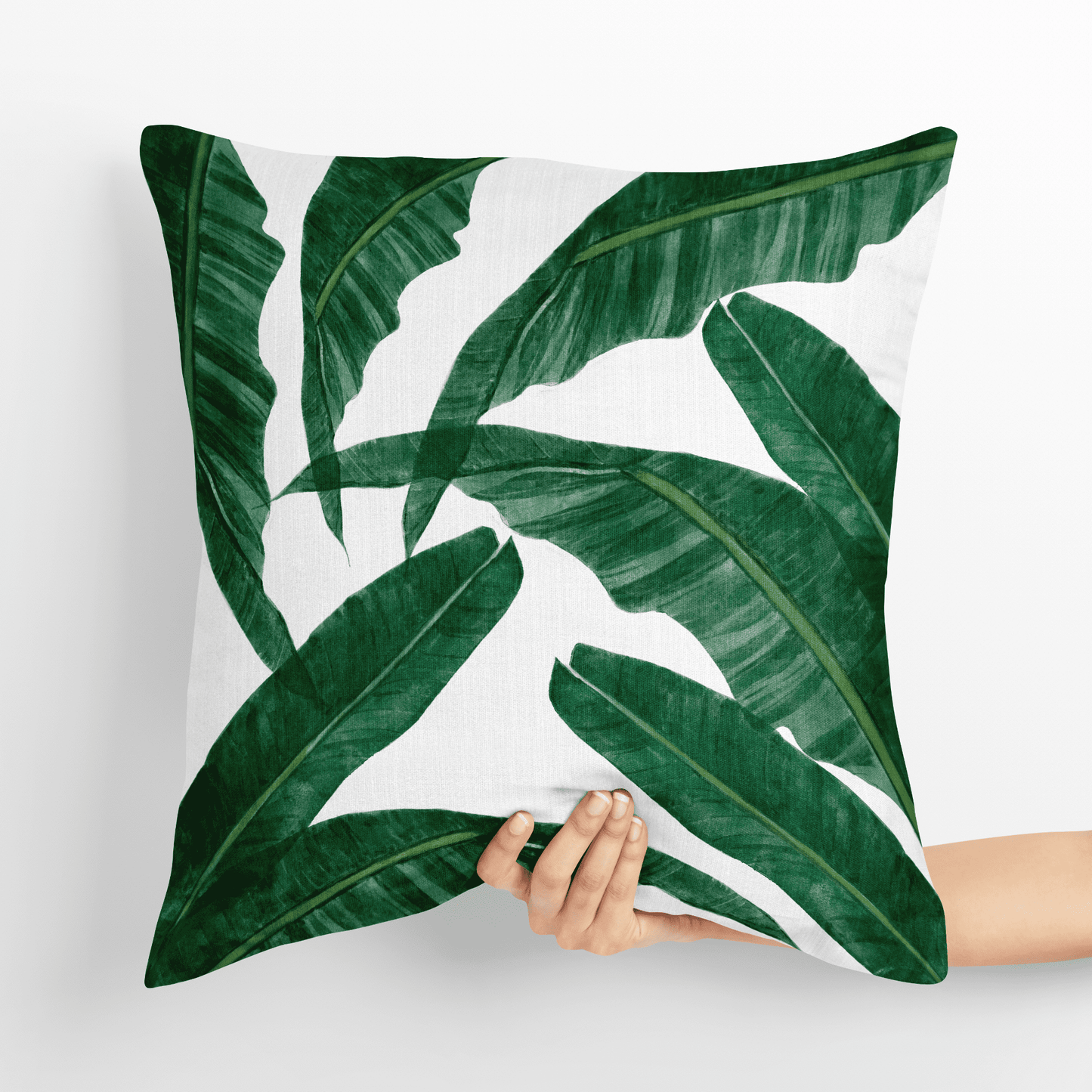 Bird of Paradise X Bliss Banana - Combo - Set of 5