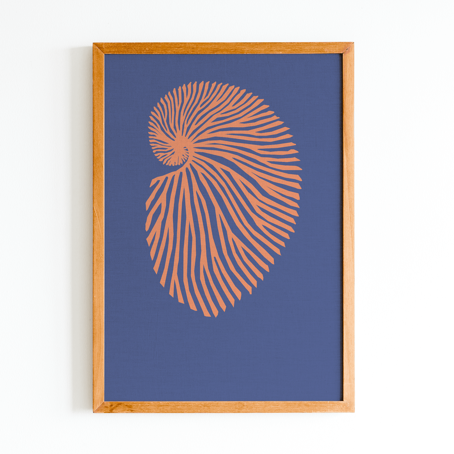 Deep Coral