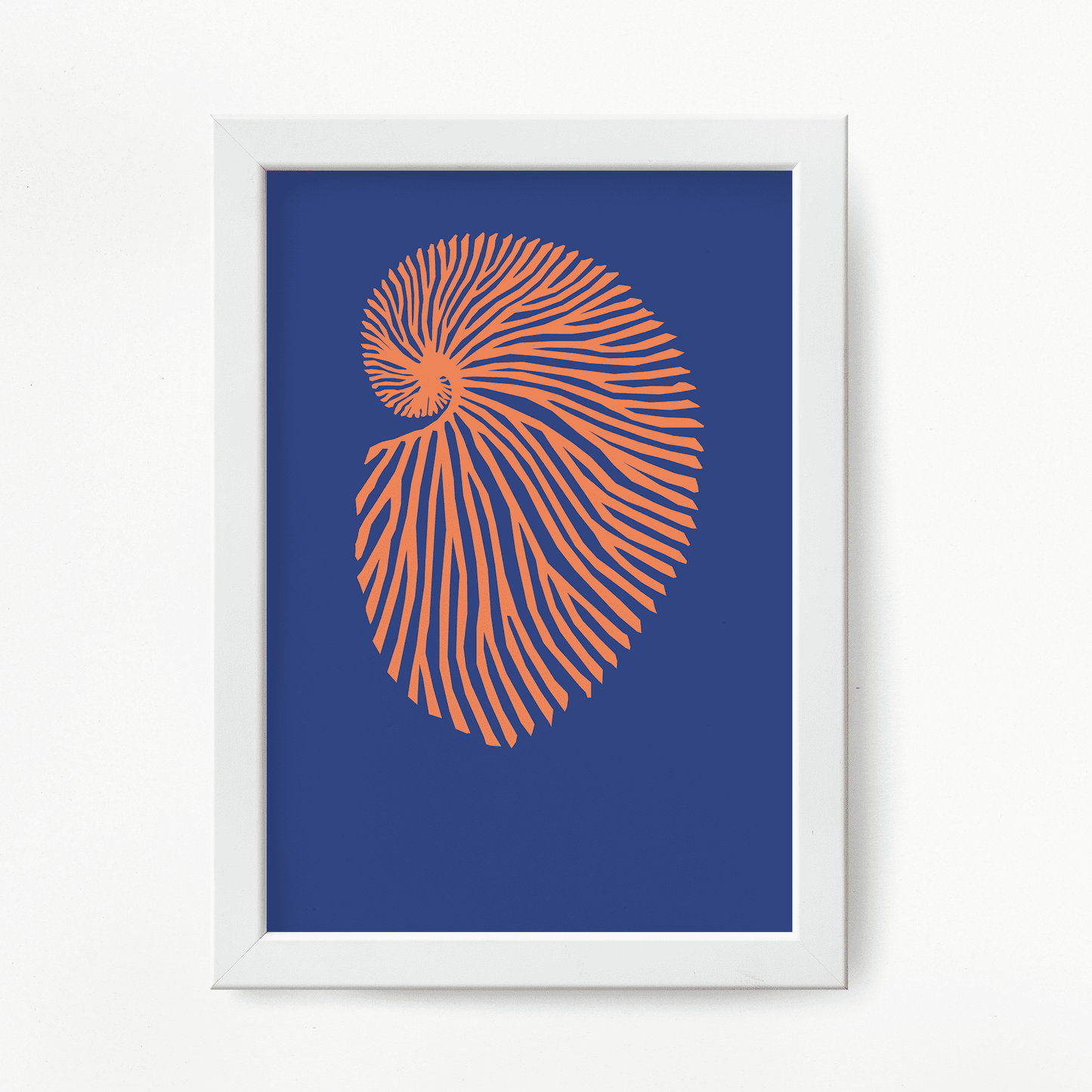 Deep Coral