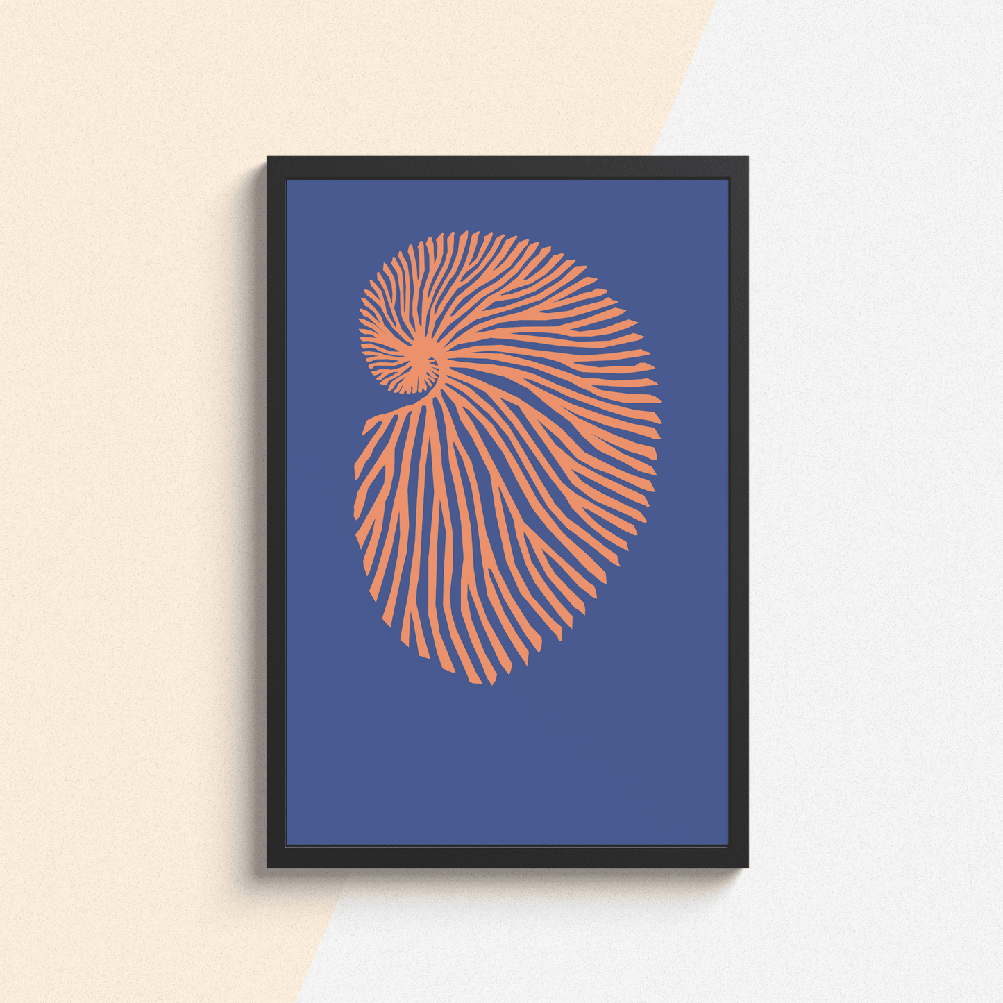 Deep Coral