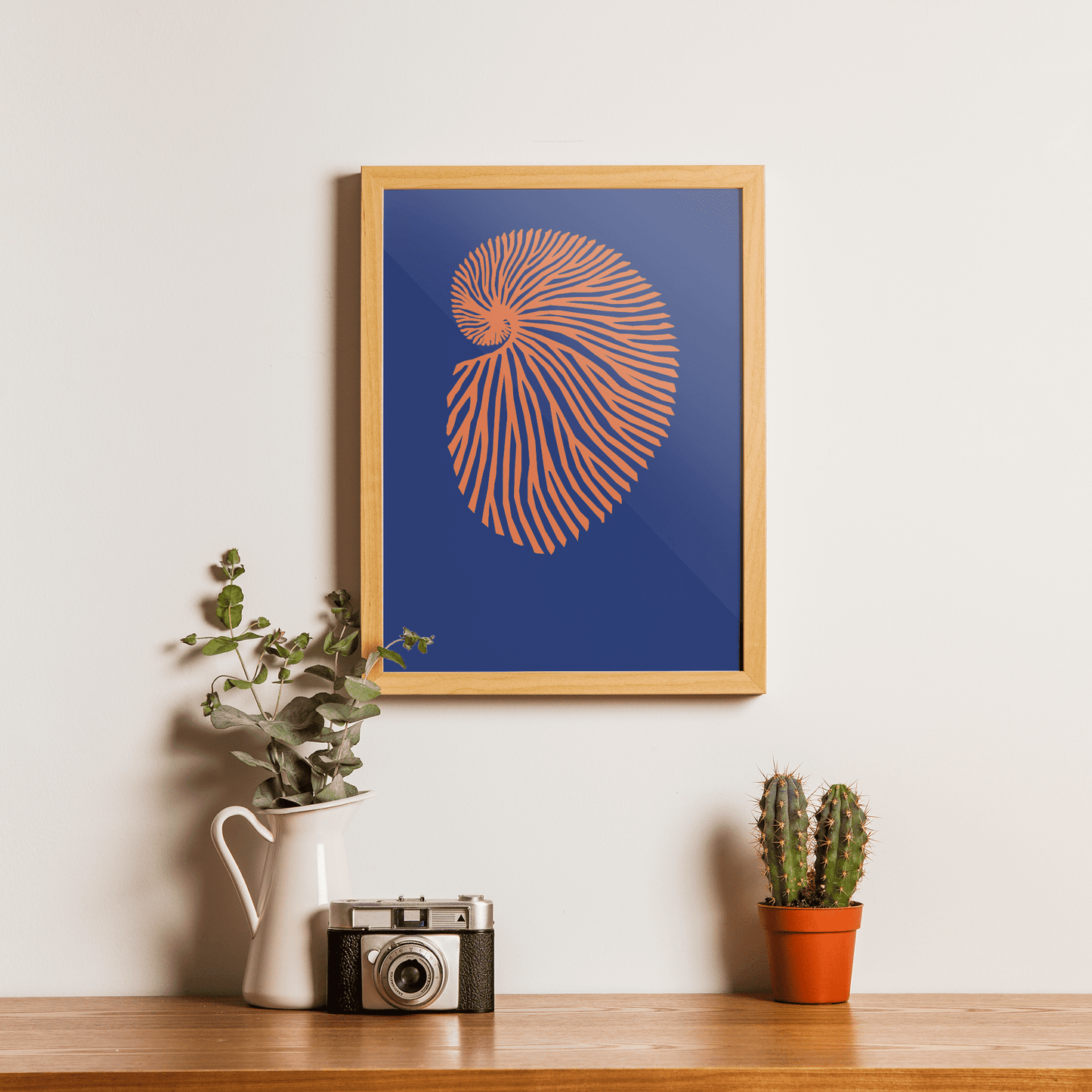 Deep Coral