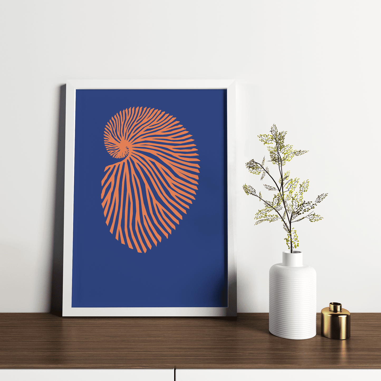Deep Coral