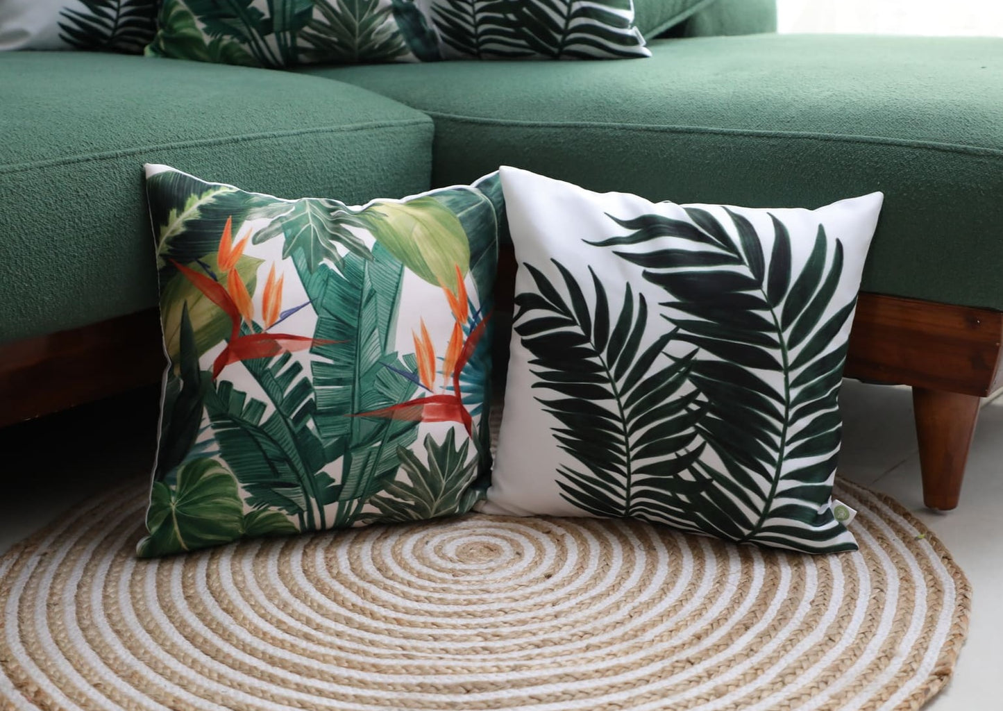 Bird of Paradise X Flowing Palm  - Combo - Set of 5