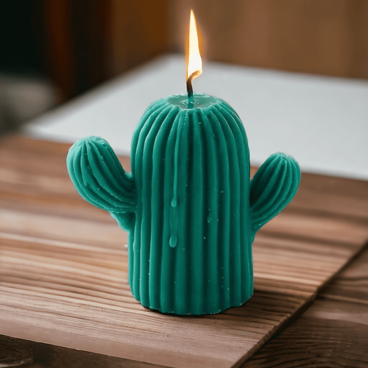 Cacti Glow Candle Set of 2