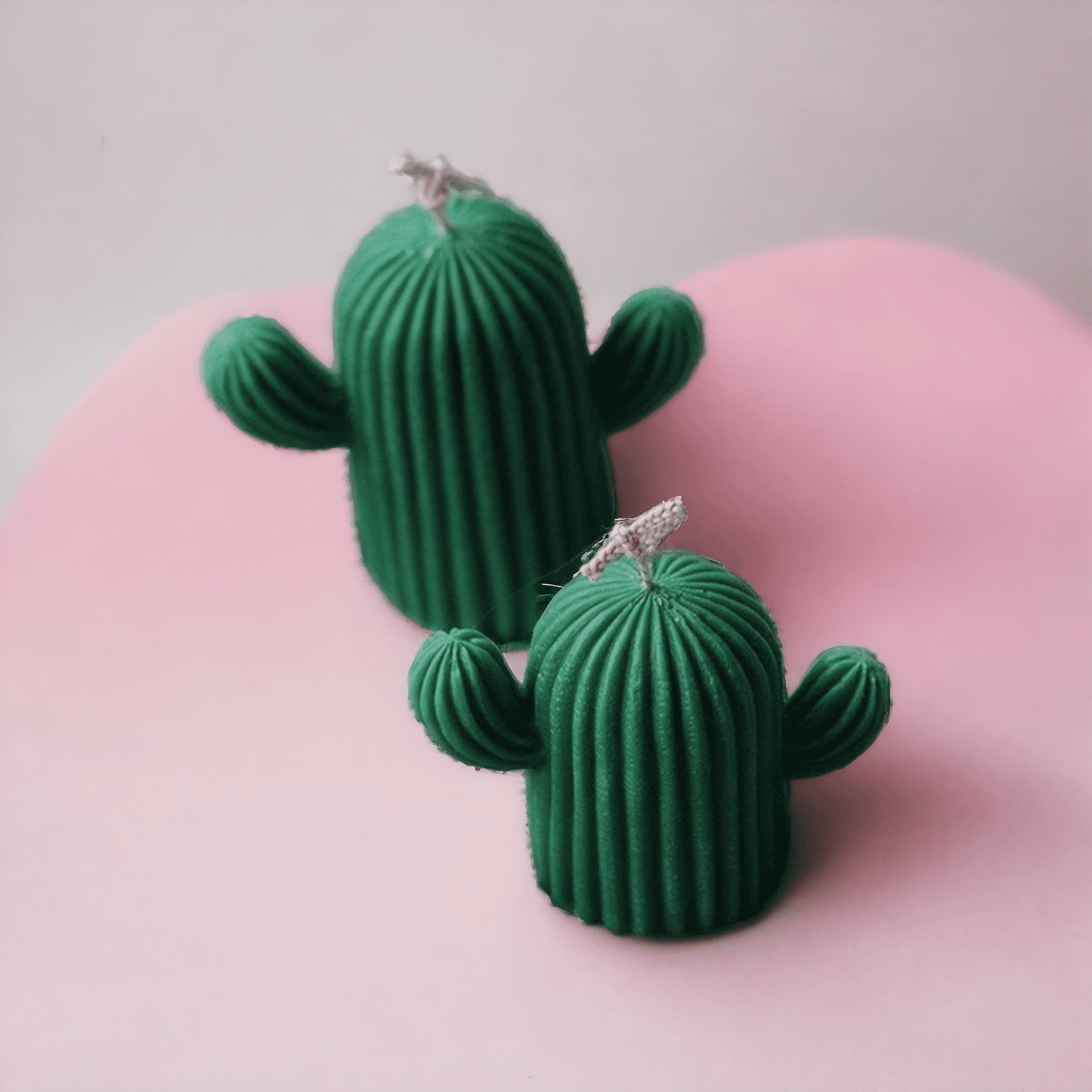 Cacti Glow Candle Set of 2