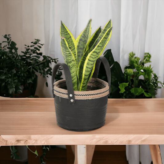 Eco-Revive Recycled Tire Planter - Lushlyf's Green Living Series