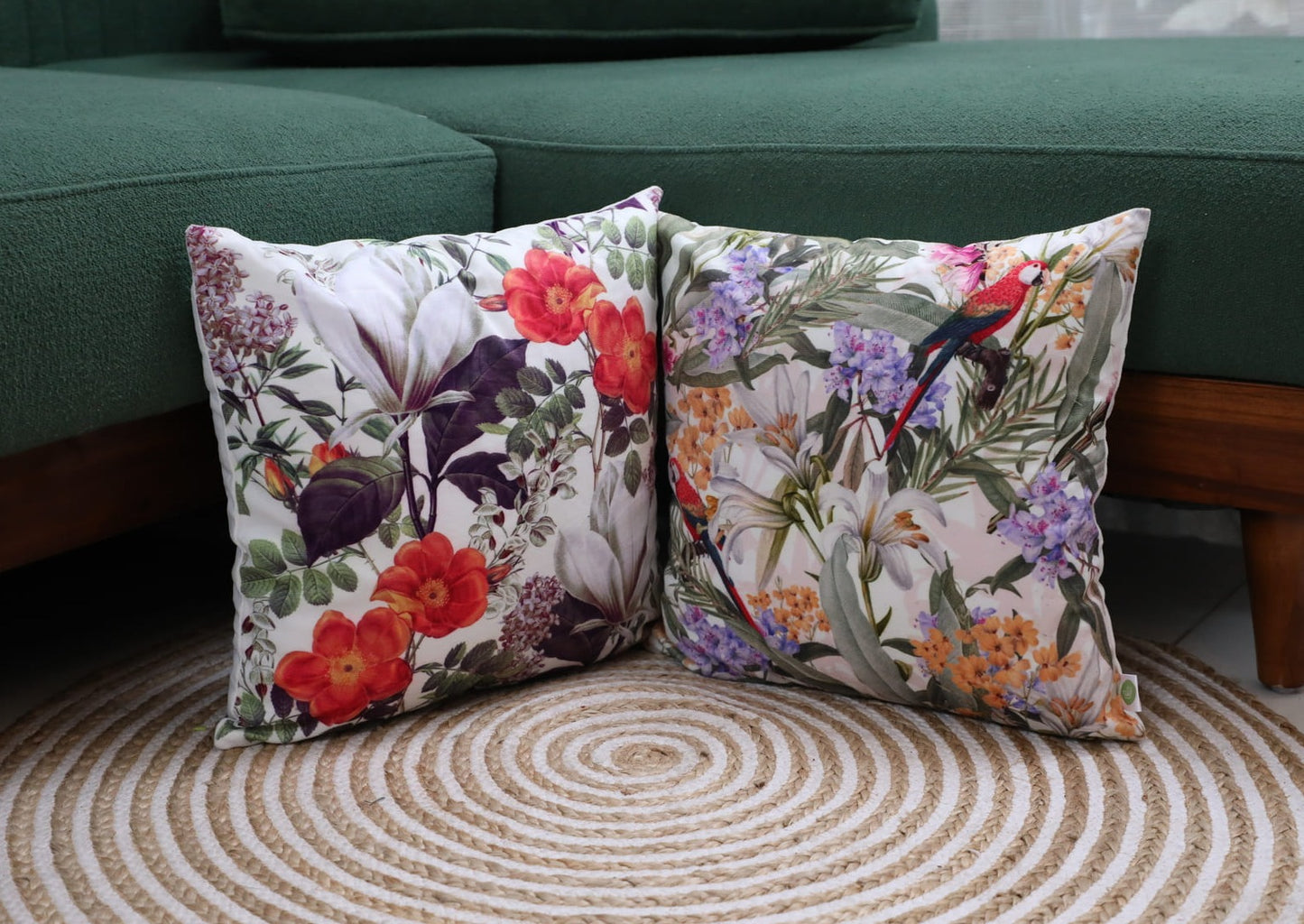 Sunlit Flora X Eden Parrot - Combo - Set of 5